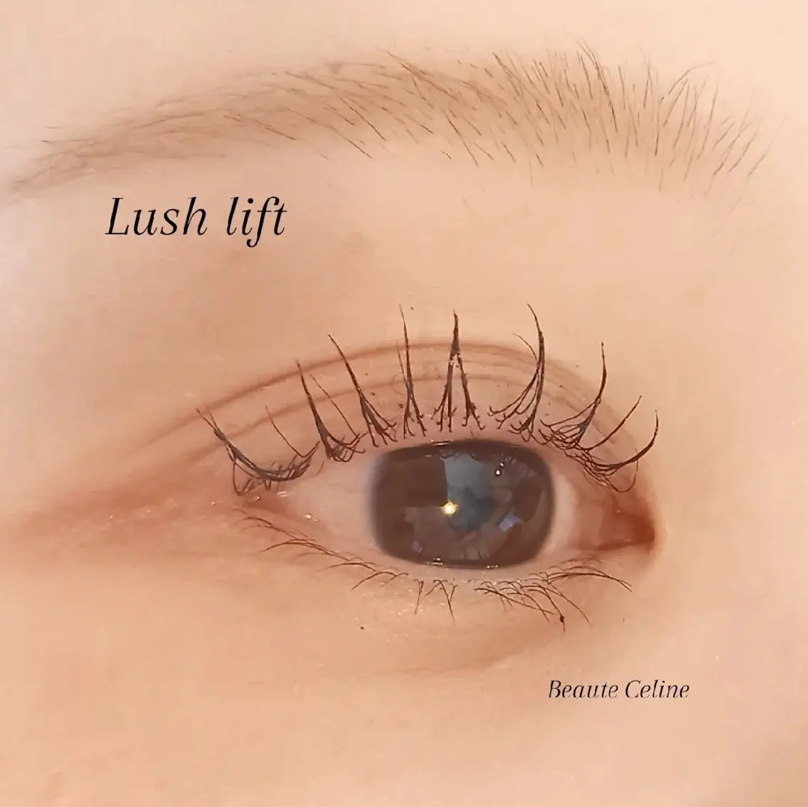 マツエク・マツパ マツパ LED✨beaute Celine🌛🌹のマツエク・マツパデザイン