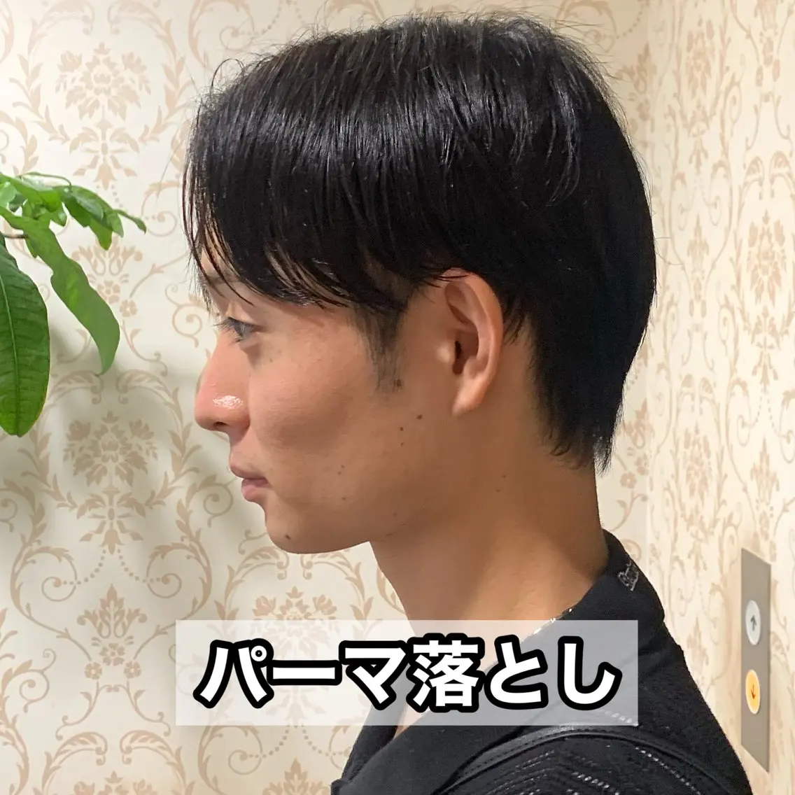 ショート パーマ メンズ メンズ韓国風 マッシュ メンズパーマ 韓国風ヘア 縮毛矯正 カット 縮毛矯正 実績のメンズパーマ/ スナップフォト見てねのヘアスタイル