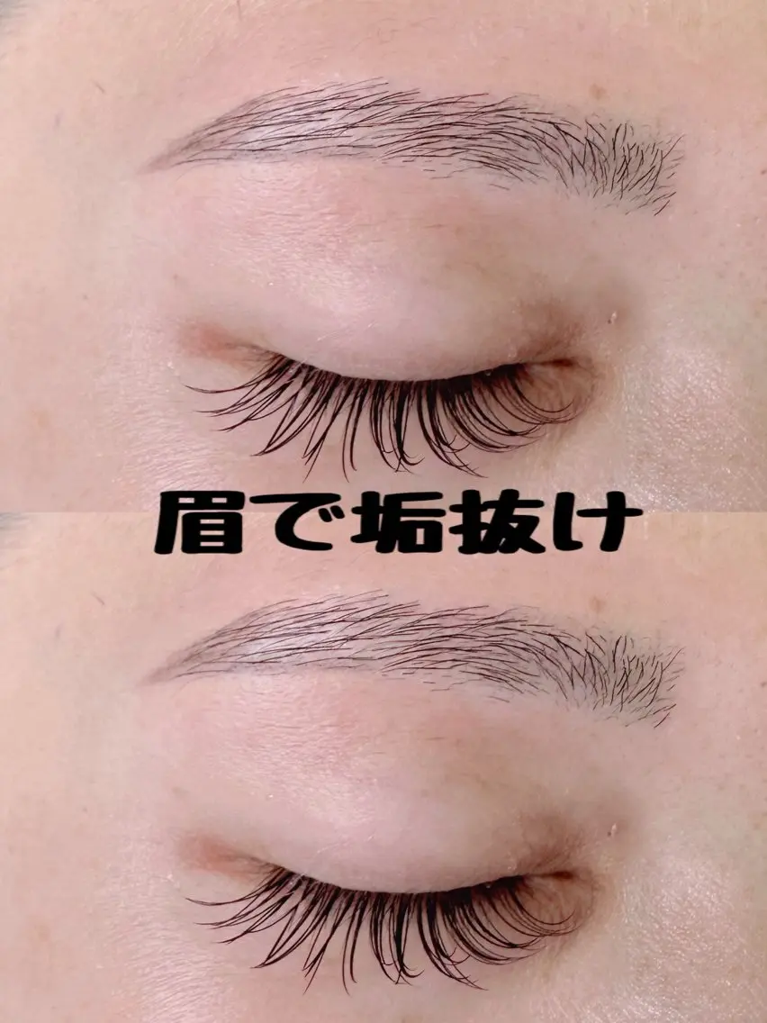 アイブロウ Oshima Shizukaの眉毛・アイブロウイメージ