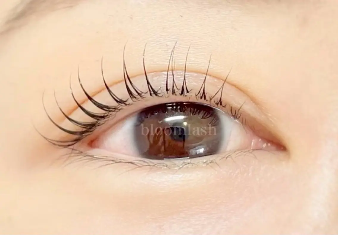 マツエク・マツパ bloom lash なのはのマツエク・マツパデザイン