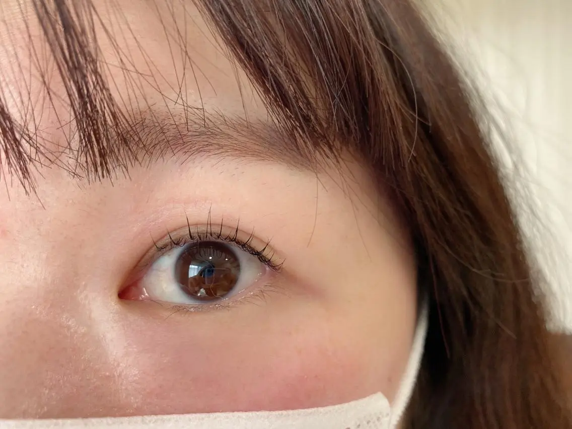 ⭐︎大人気⭐︎まつ毛パーマ➕ティントの写真