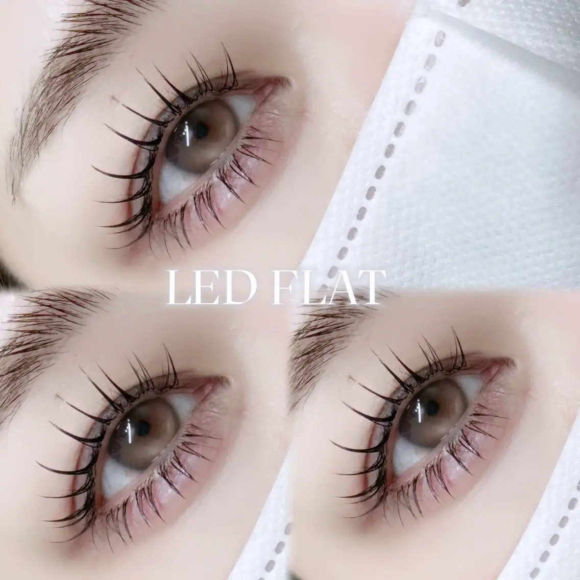 🪽LEDフラット 上下160本◎の写真