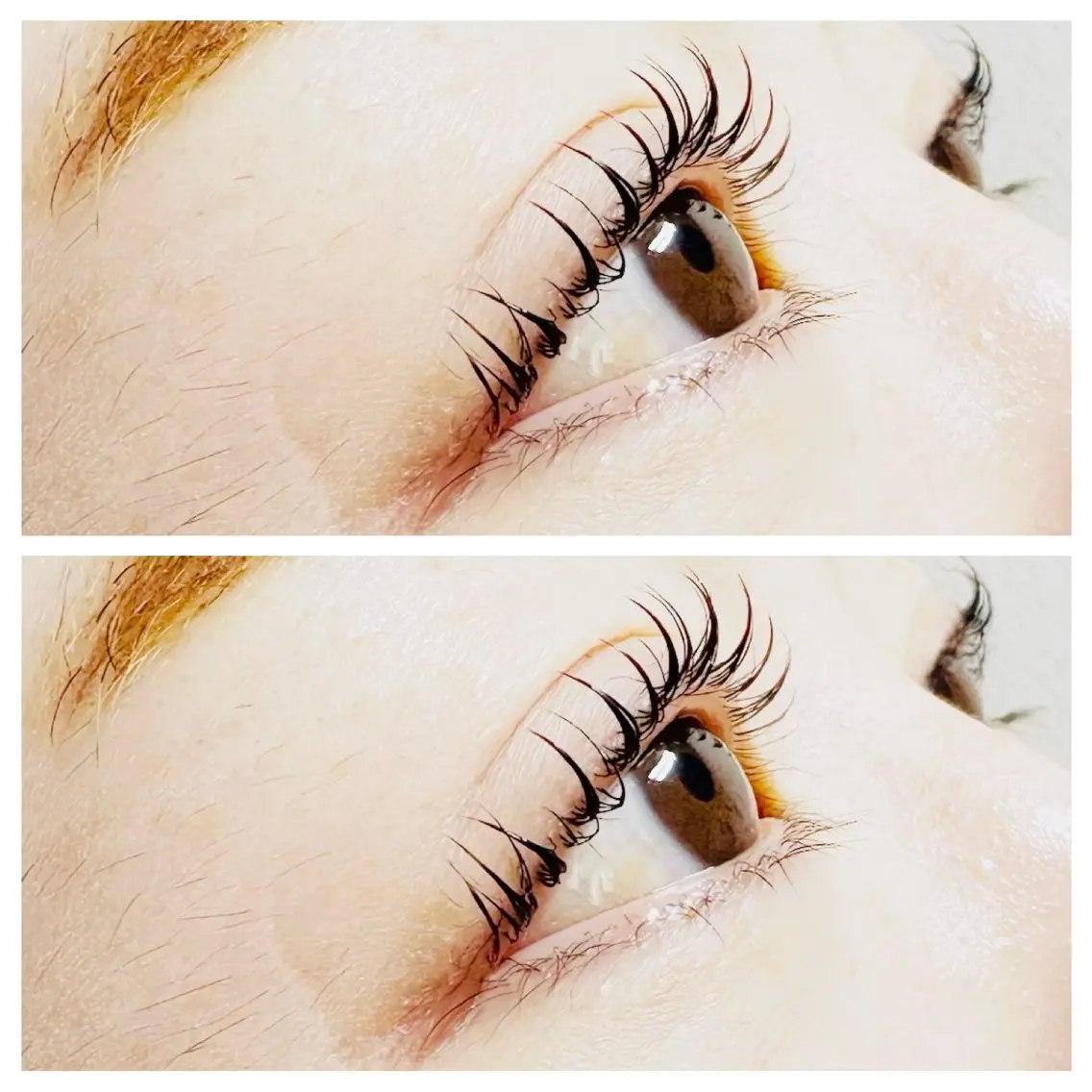 マツエク・マツパ マツパ plume eyelashのマツエク・マツパデザイン