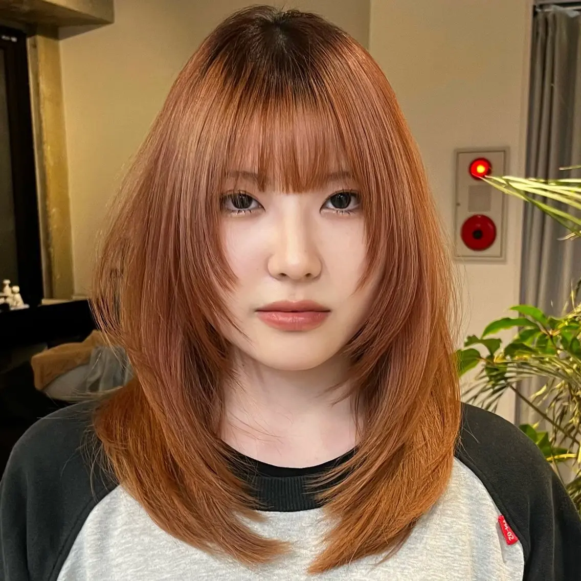 ミディアム カラー カット ウルフ/レイヤー/ ブリーチカラーのヘアスタイル