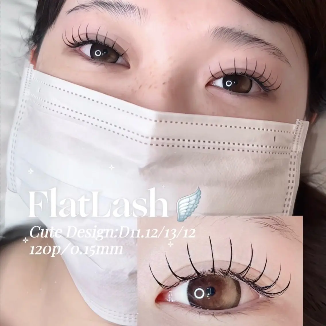 フラットラッシュ120本の写真