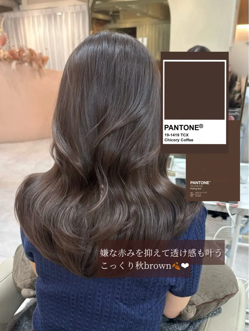 セミロング カラー レイヤーカット 韓国ヘア🦢🖤 Sayumiのヘアスタイル