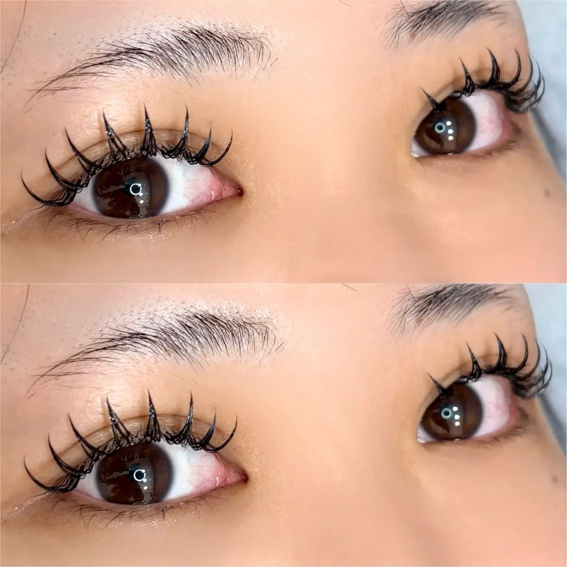 マツエク・マツパ Dカール マツエク Amaranth 🦋MIHO🦋のマツエク・マツパデザイン