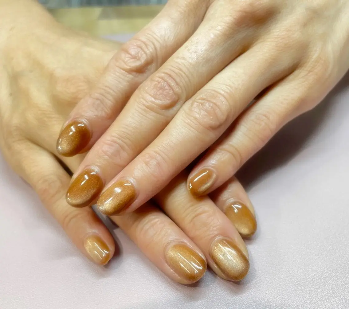 ネイル ブラウン マグネットネイル ワンカラーネイル minami nail🐰Raviのネイルデザイン