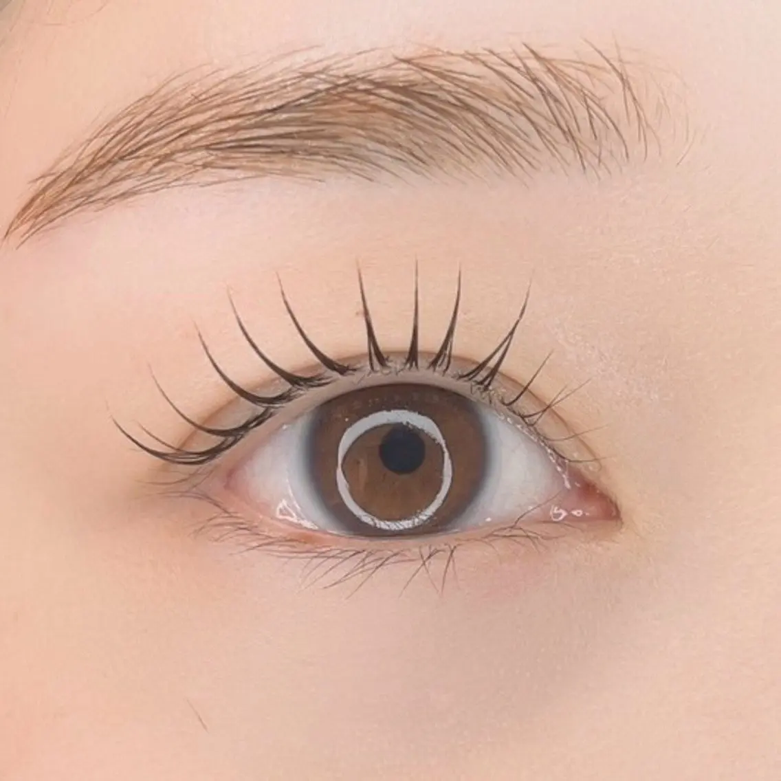 【6月限定!✨】🫧まつ毛パーマ🫧 韓国風束感仕上げ👀💕の写真