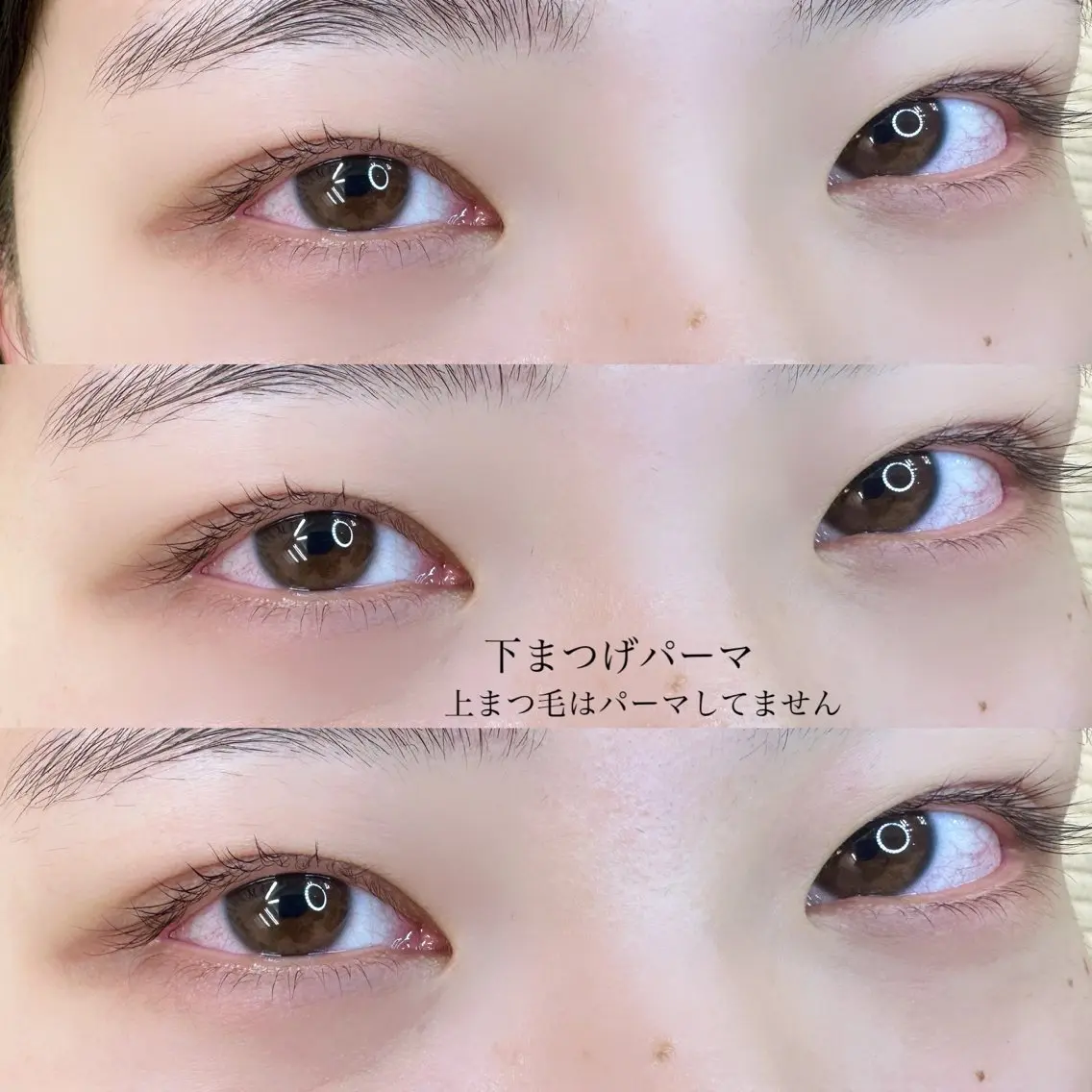 マツエク・マツパ まつげパーマ 下まつげエクステ KAHO 🌙のマツエク・マツパデザイン