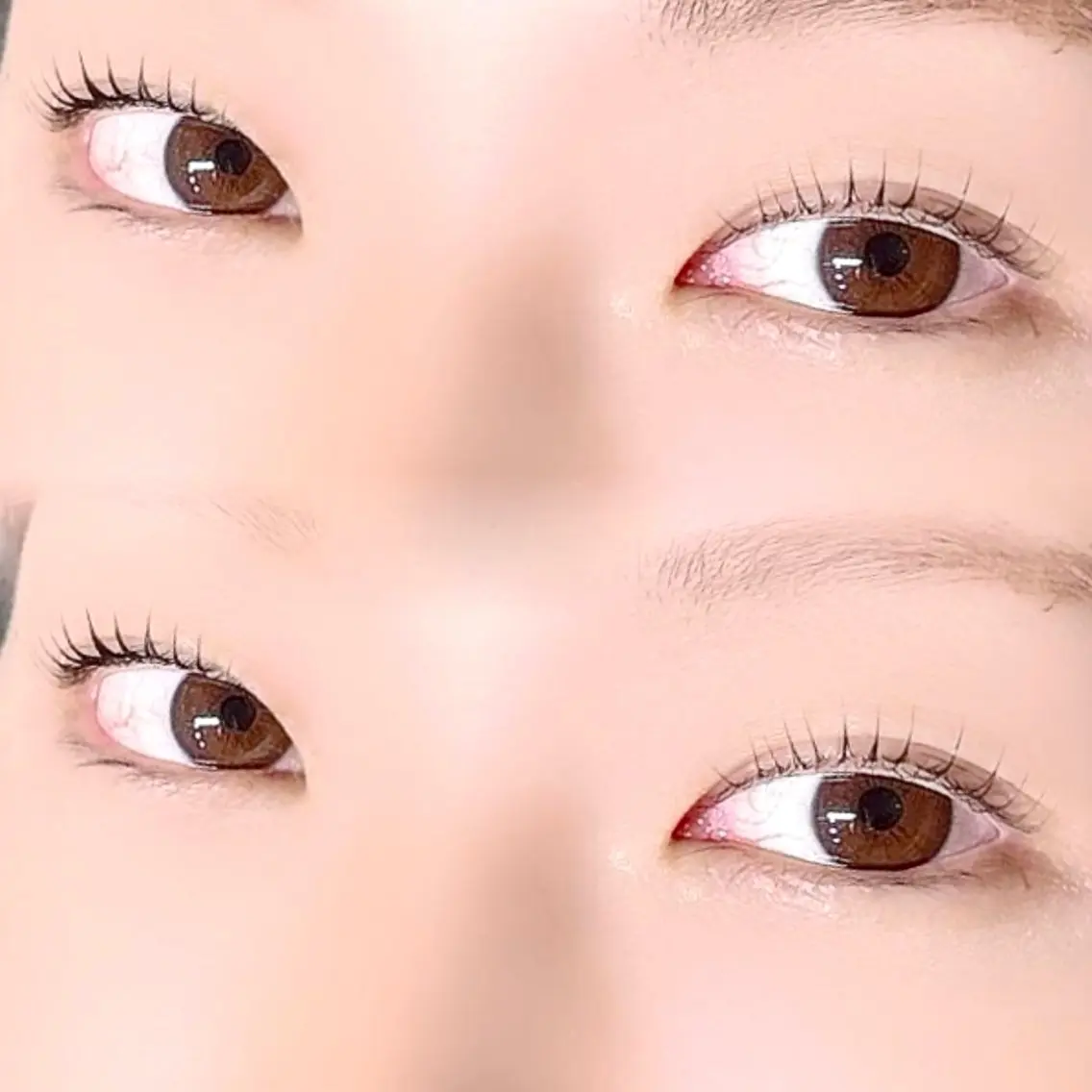 マツエク・マツパ マツパ Fuka. Lash 𐙚⸝⸝꙳の眉毛・アイブロウイメージ