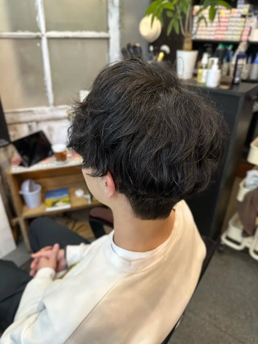 ミディアム パーマ メンズ ミディアムパーマ メンズパーマ カット パーマ 元住吉プランツヘアー ☘️丸山☘️のヘアスタイル