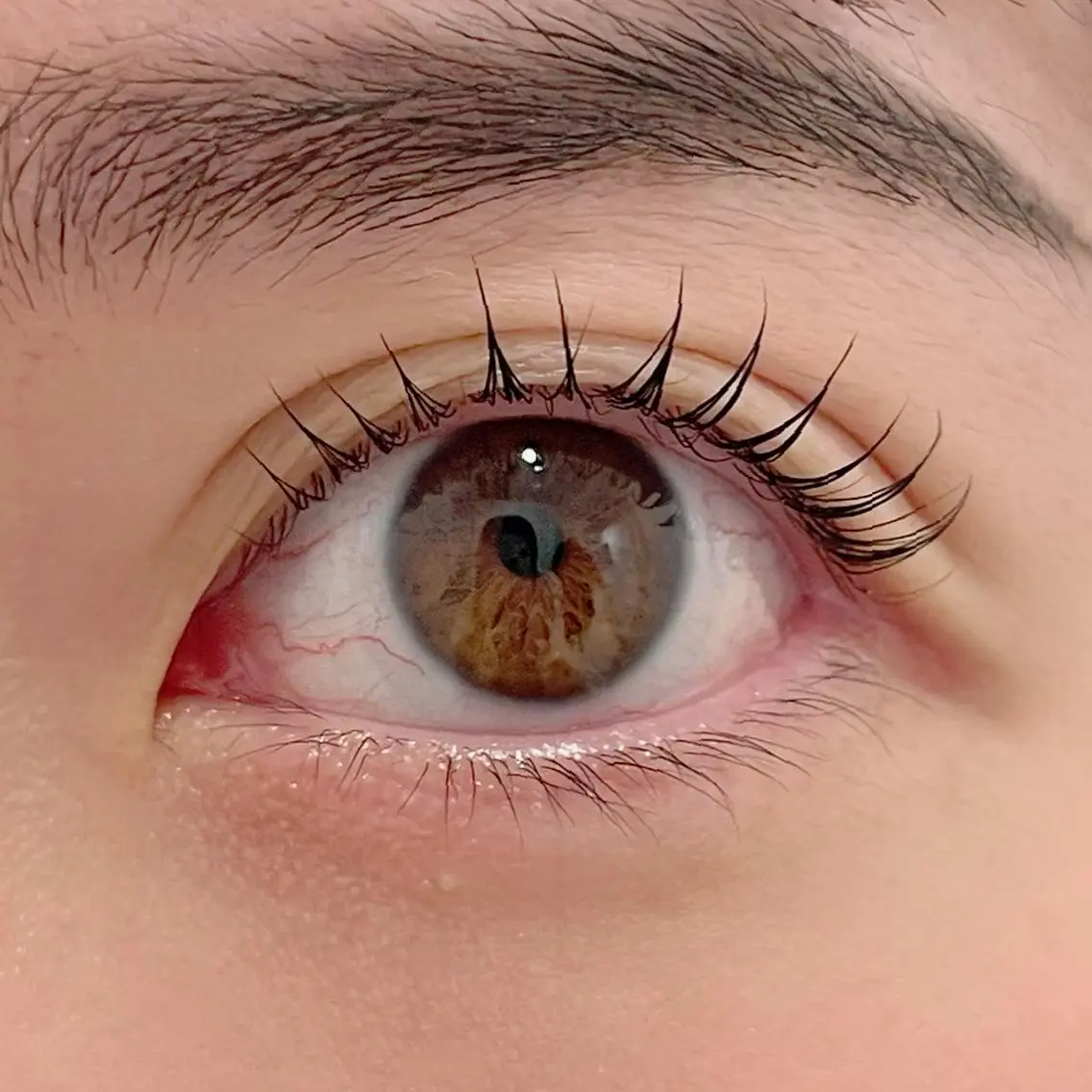 マツエク・マツパ まつげパーマ ai一重専門🎀束感 まつげ🫧表参道の眉毛・アイブロウイメージ
