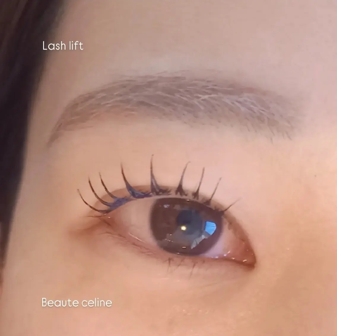マツエク・マツパ マツパ LED✨beaute Celine🌛🌹のマツエク・マツパデザイン