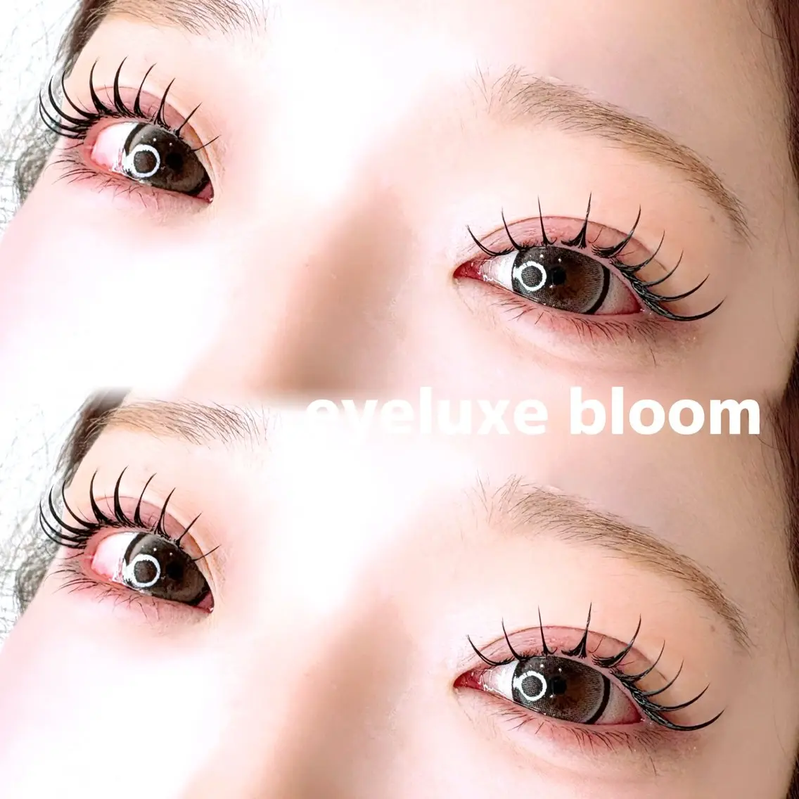 マツエク・マツパ eyeluxe bloom KANGのマツエク・マツパデザイン