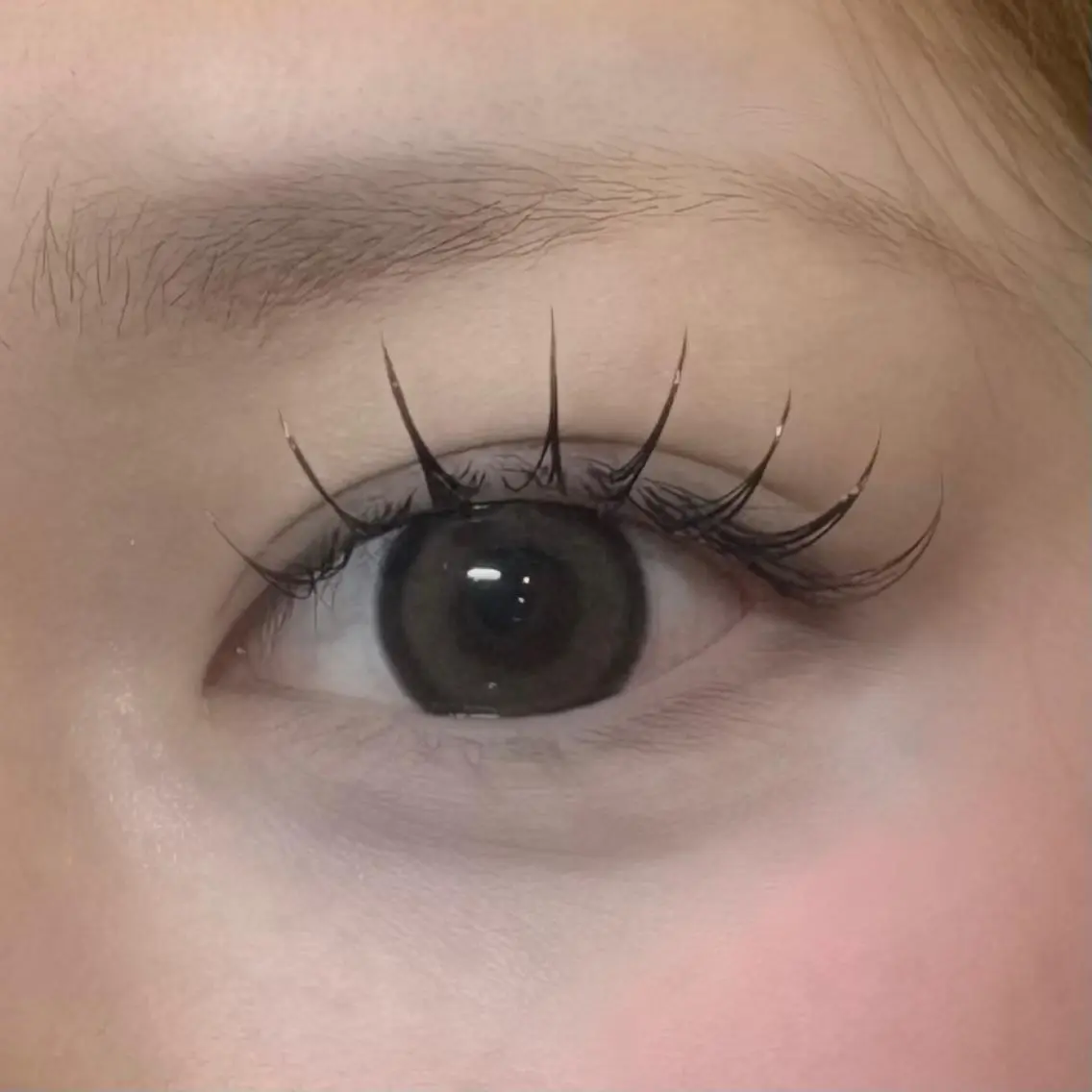 フラットラッシュ120本💐の写真