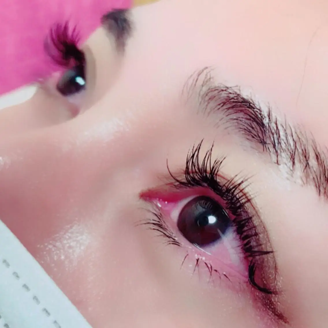 (新規)上下 付け放題上 160本まで下 30本までの写真
