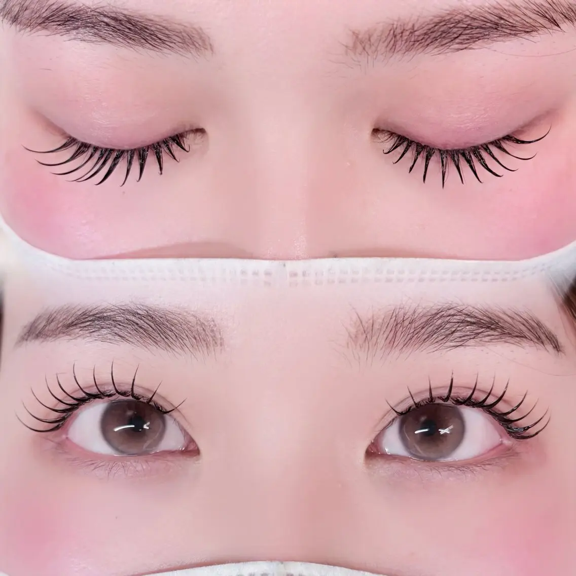 パリエク or &healthy LED 120本の写真