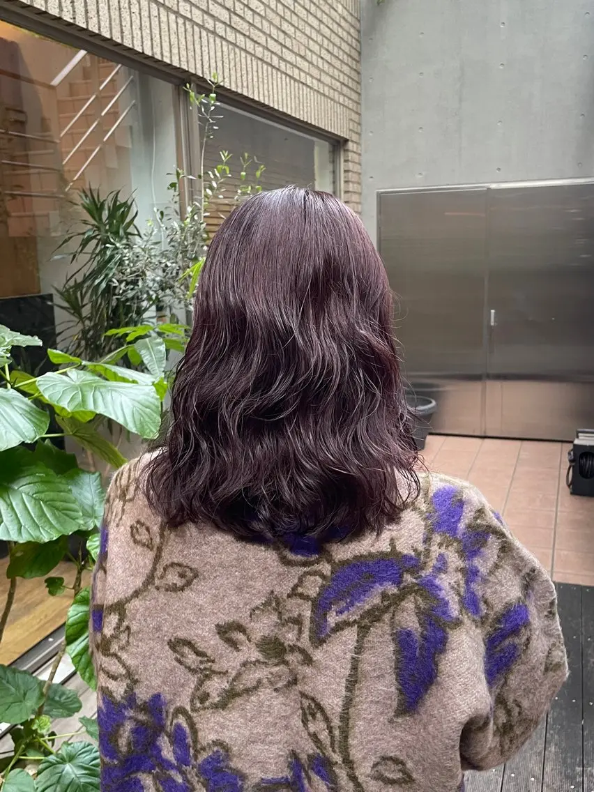 ［再来］color🤍の写真