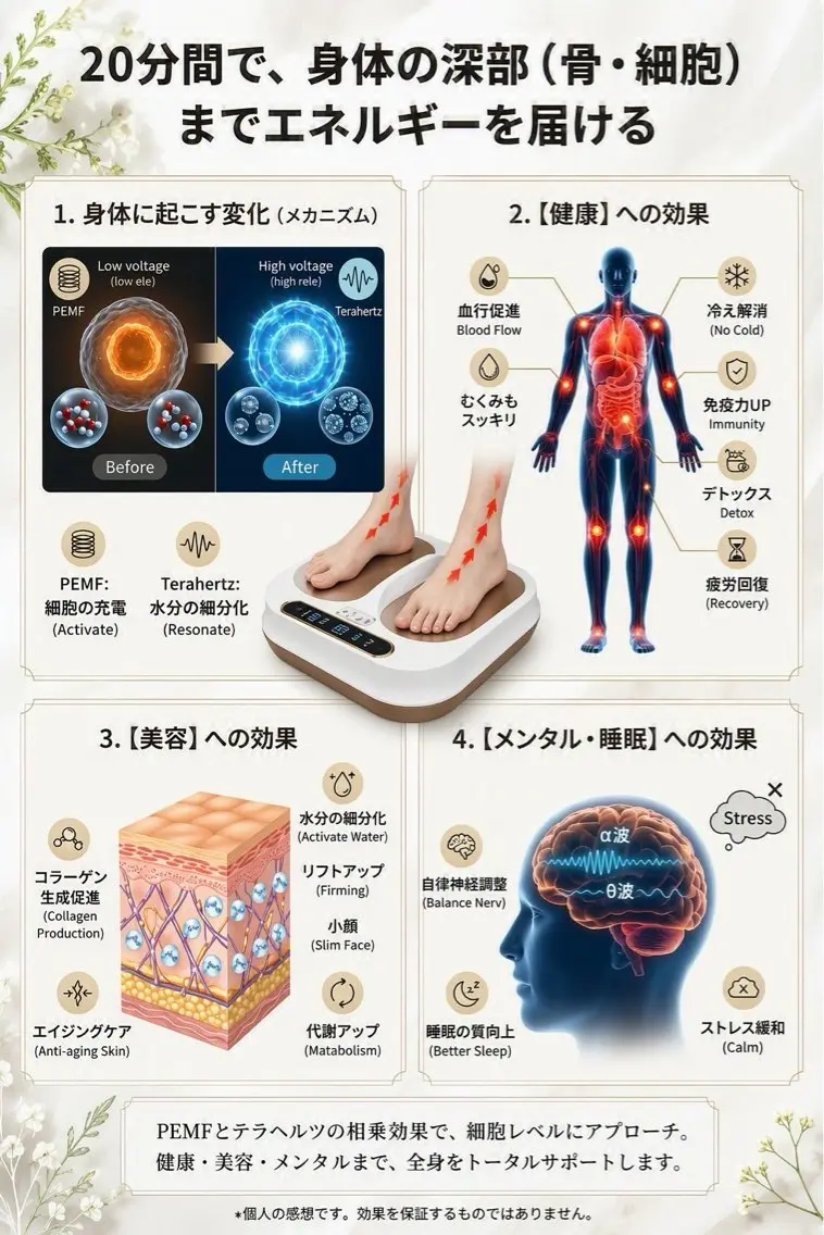 疲労回復体リカバリー ラージパトゥのその他イメージ