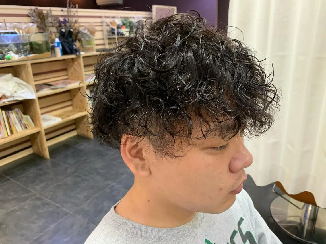ショート パーマ メンズ メンズ特化西村 雄太のヘアスタイル