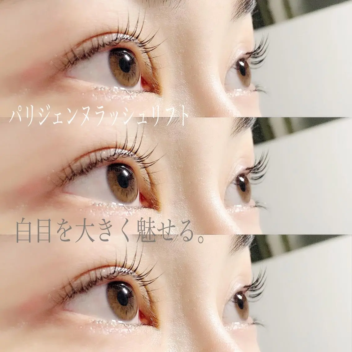 マツエク・マツパ パリジェンヌラッシュリフト nashira恵比寿 まつ毛&眉毛サロンのマツエク・マツパデザイン