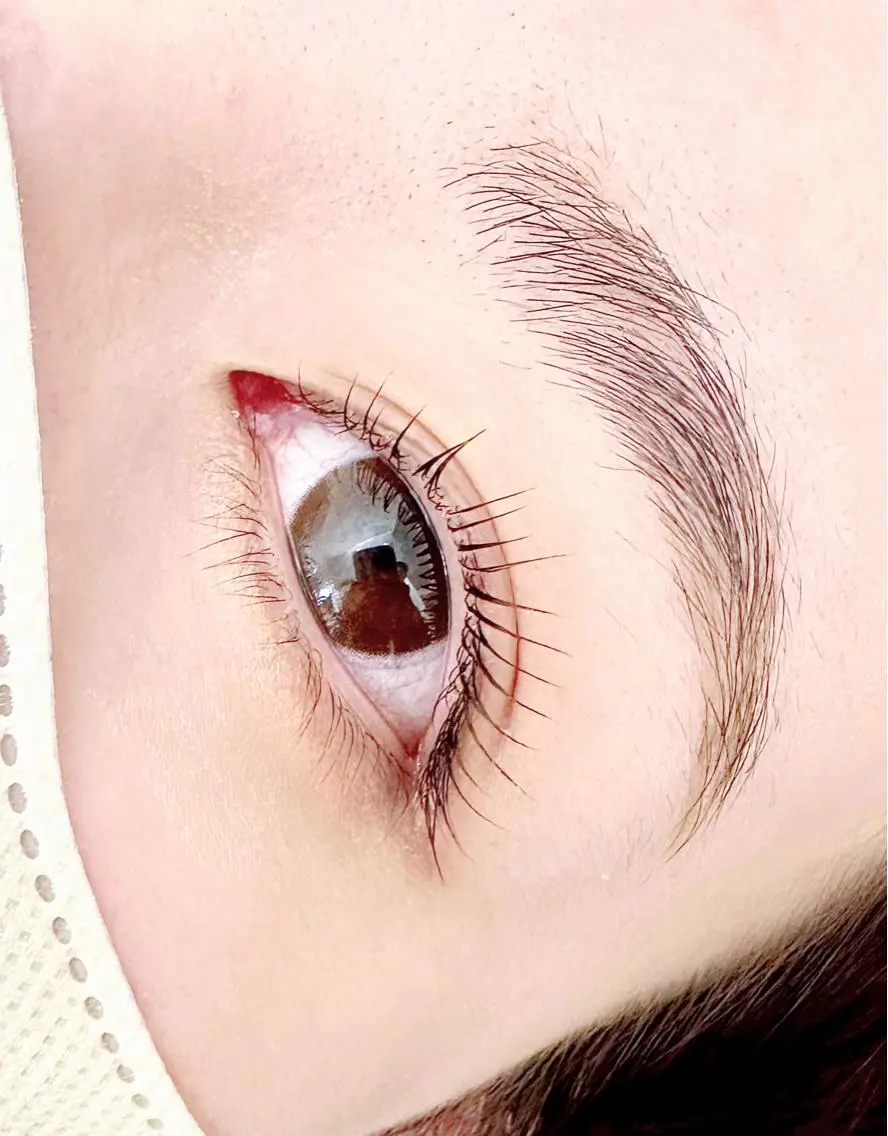 【初回】まつげパーマ上の写真