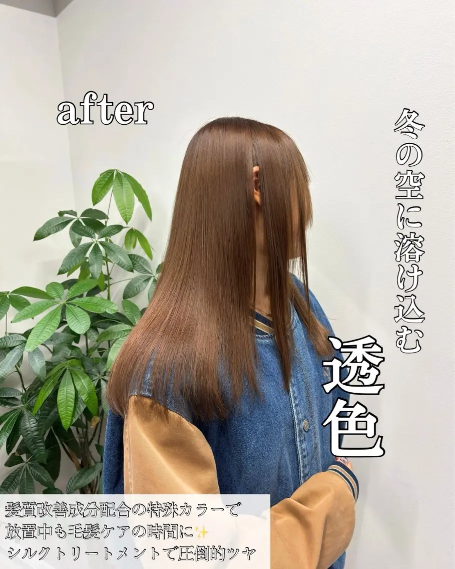 セミロング カラー 髪質改善 縮毛矯正 トリートメント ヘアカラー 縮毛矯正 トリートメント 髪質改善/縮毛矯正 /美髪カラー/こてのヘアスタイル