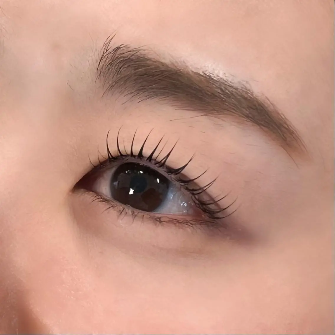マツエク・マツパ マツパ eyelashZen ♥️HIMEのマツエク・マツパデザイン