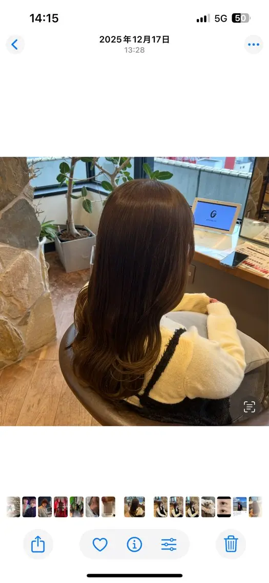 ワンカラーの写真
