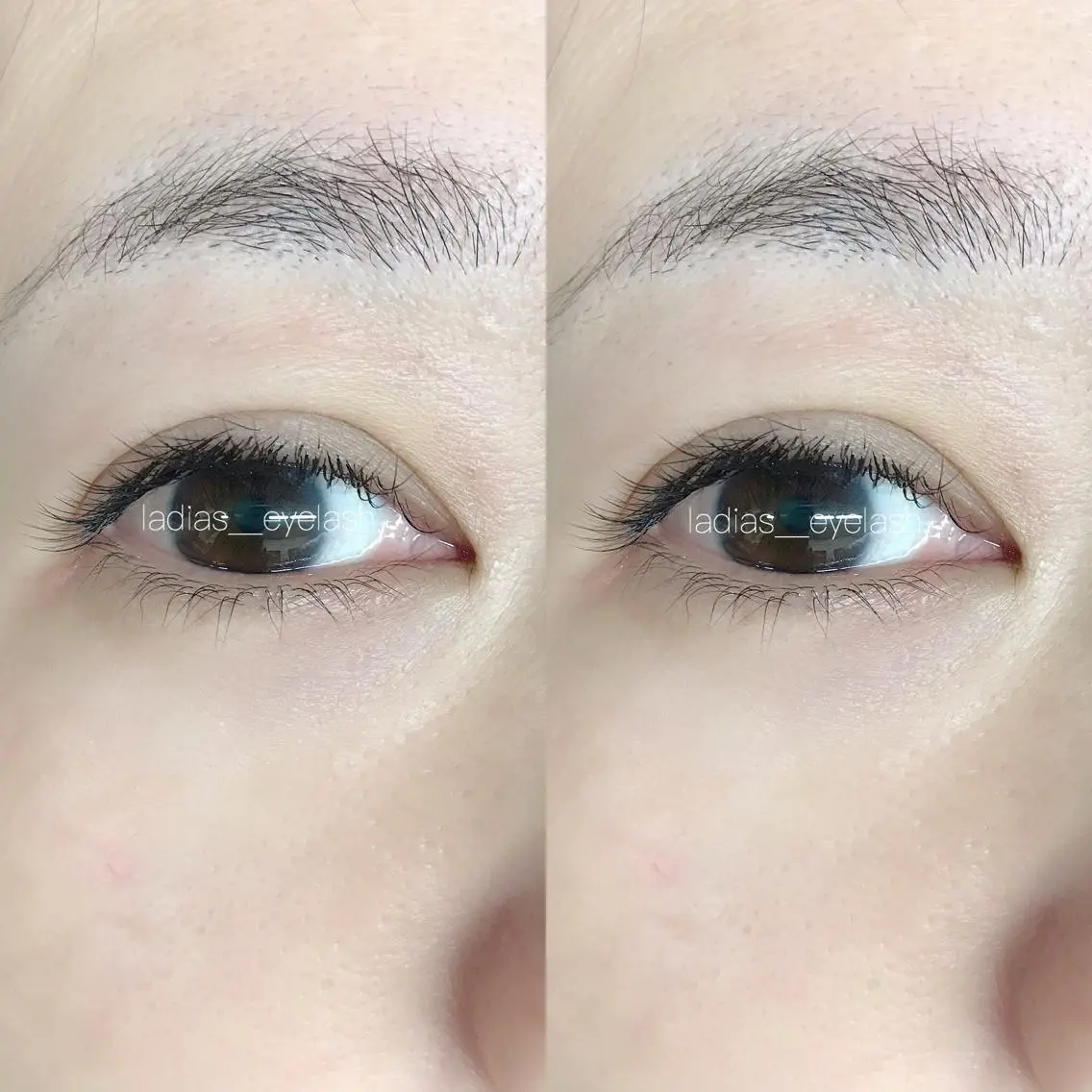 【他店オフ無料】 single lash 100の写真