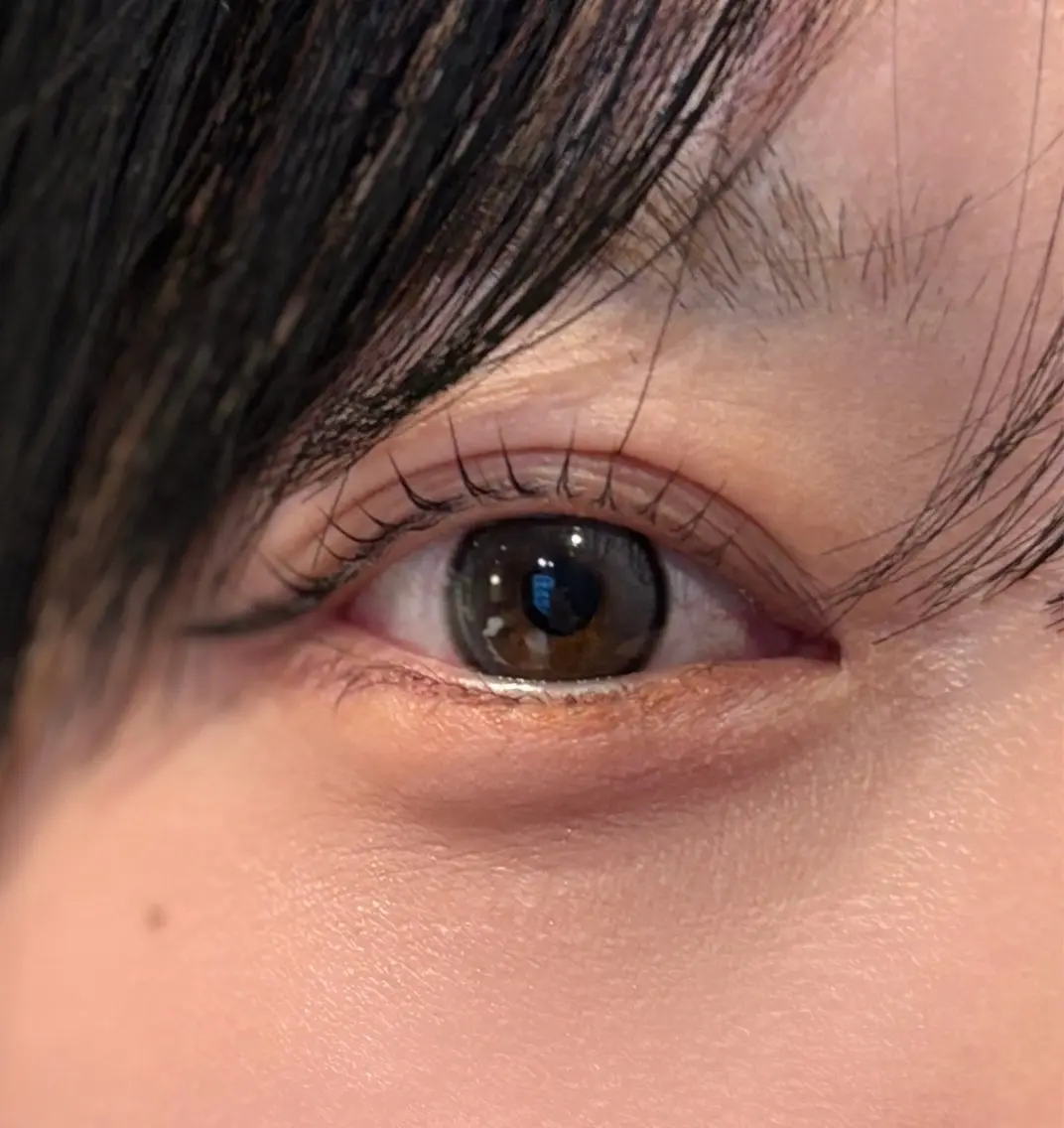 まつ毛パーマ(上)+眉毛ワックス(間引き込み)🫧アイシャンプー・間引き込み✨の写真