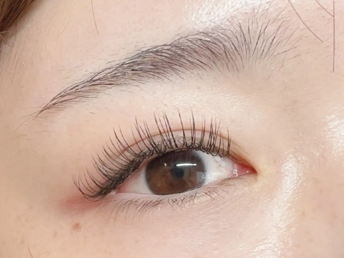 マツエク・マツパ フラットラッシュ Eyelash Hauoliの眉毛・アイブロウイメージ