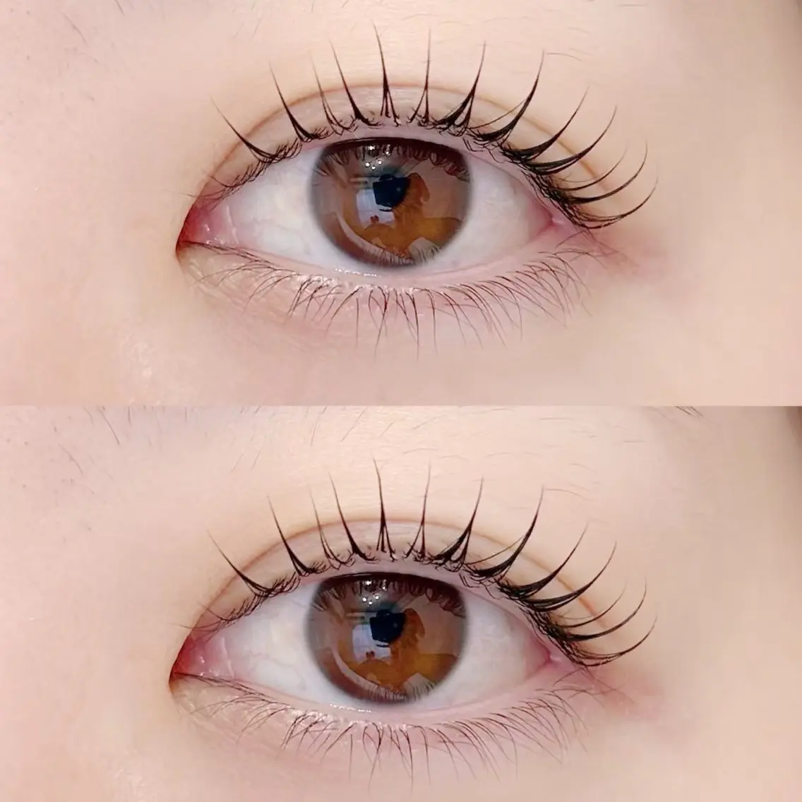 【25歳以下の女性のみ】eyelash(上まつげパーマ)※マツエクされてない方の写真