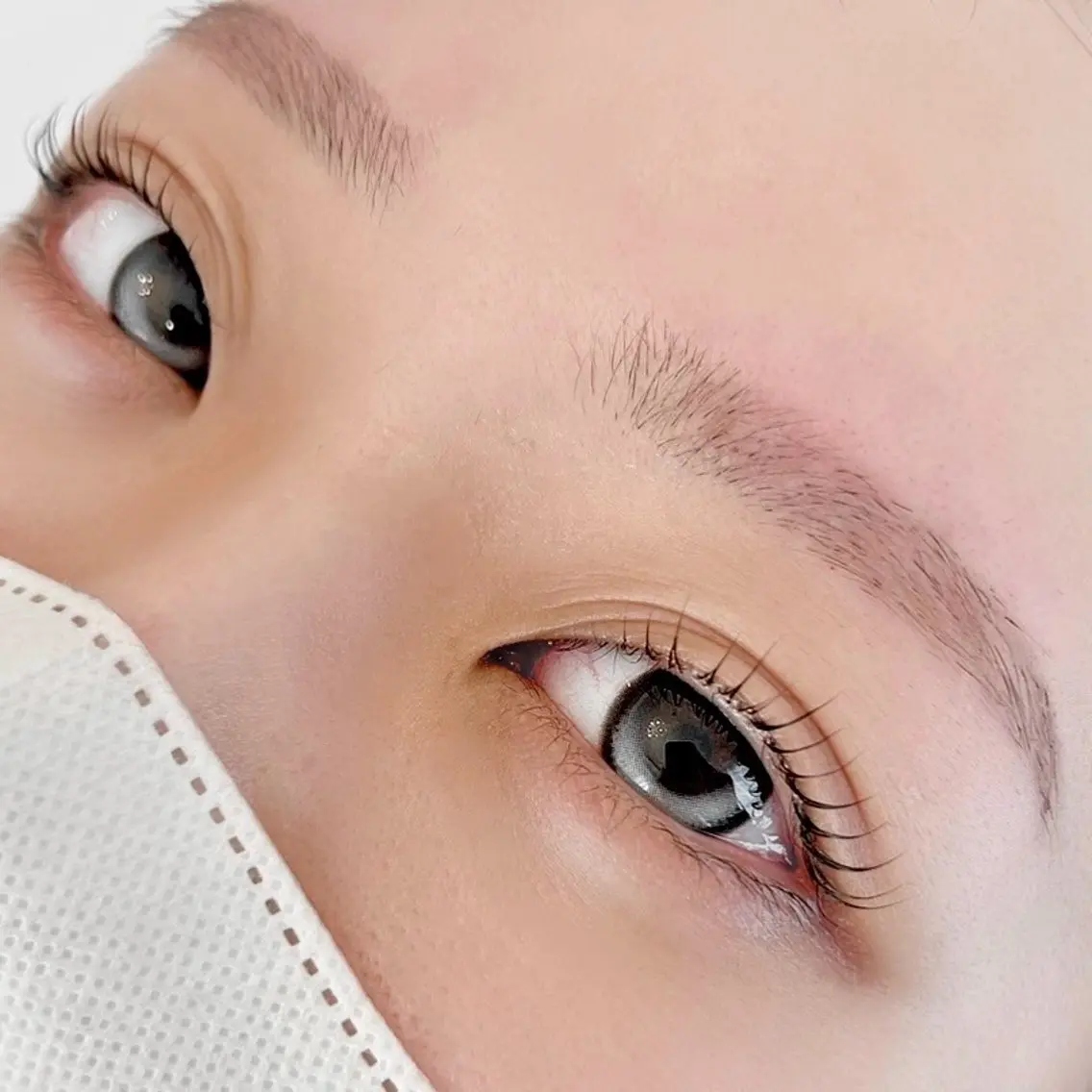 アイブロウ LELEGANCE eyelashの眉毛・アイブロウイメージ