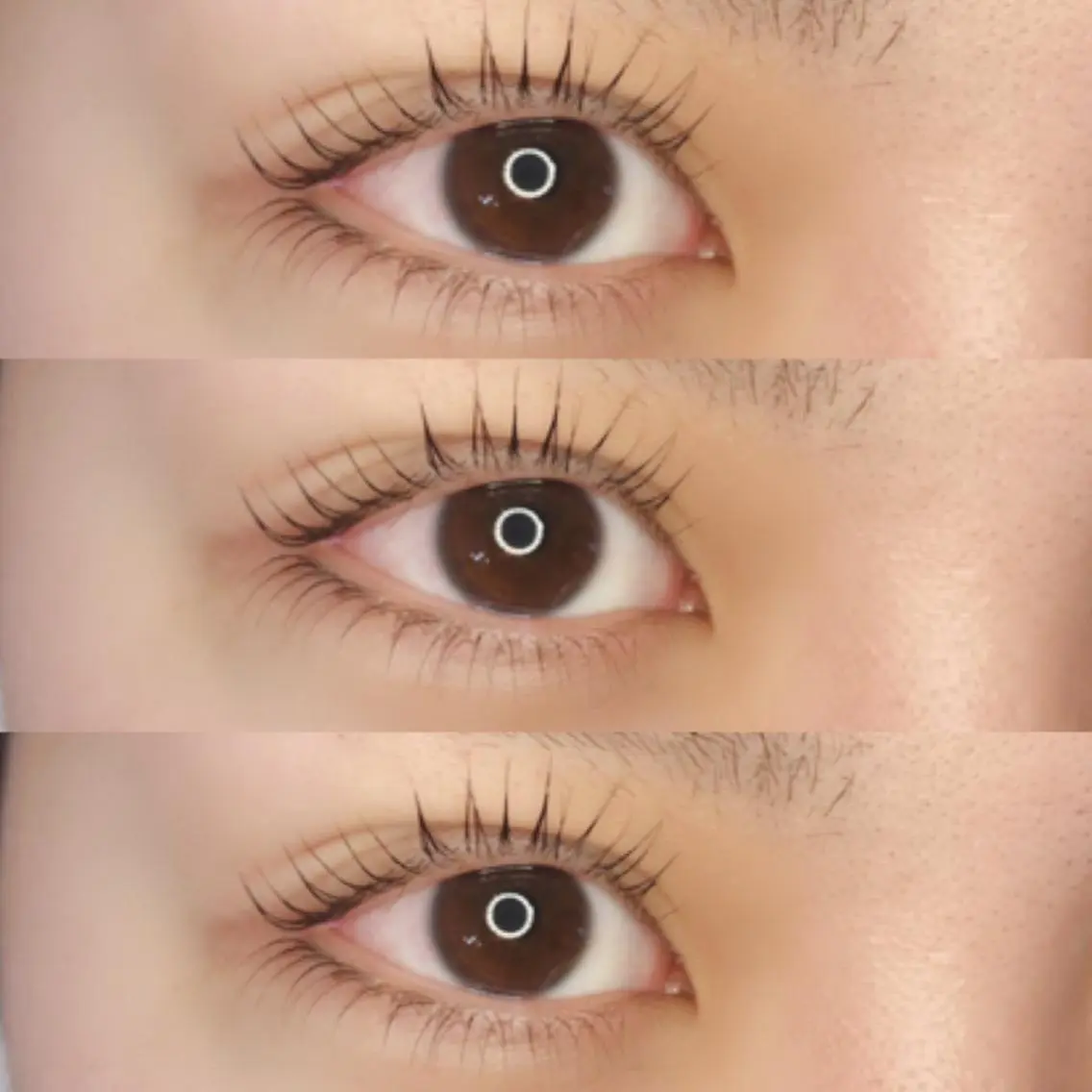 マツエク・マツパ 《eyelash ｉｉｔｅ》森のマツエク・マツパデザイン