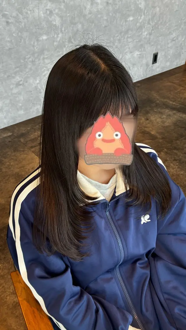 レイヤーカットの写真