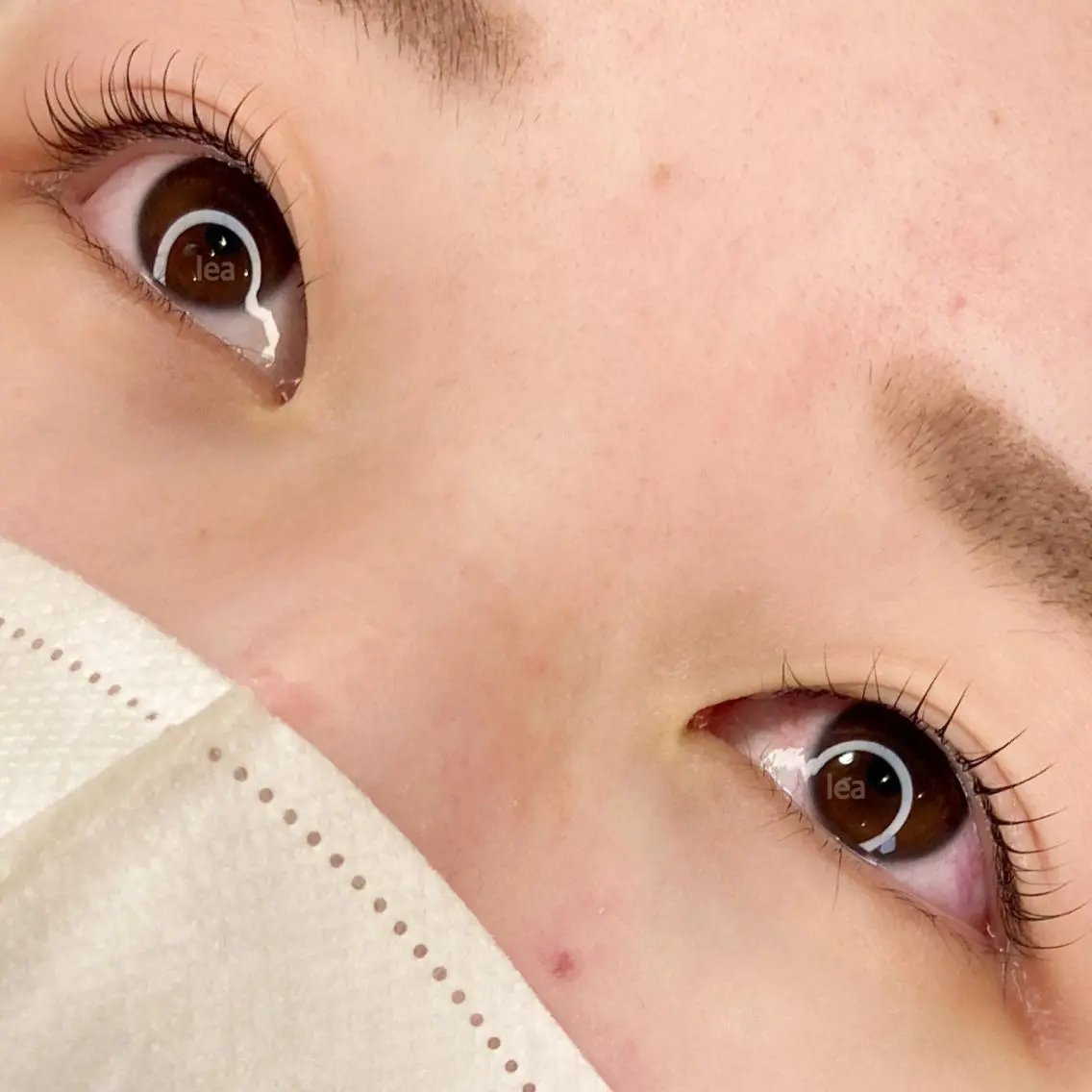 マツエク・マツパ eyelash leaのマツエク・マツパデザイン
