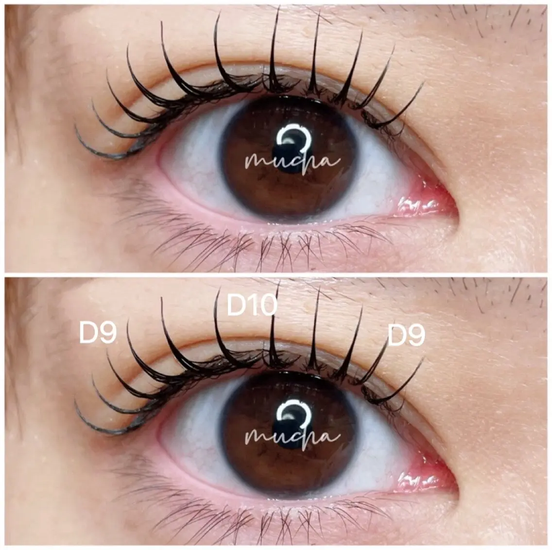 マツエク・マツパ Dカール フラットラッシュ マツエク eyelash muchaのマツエク・マツパデザイン