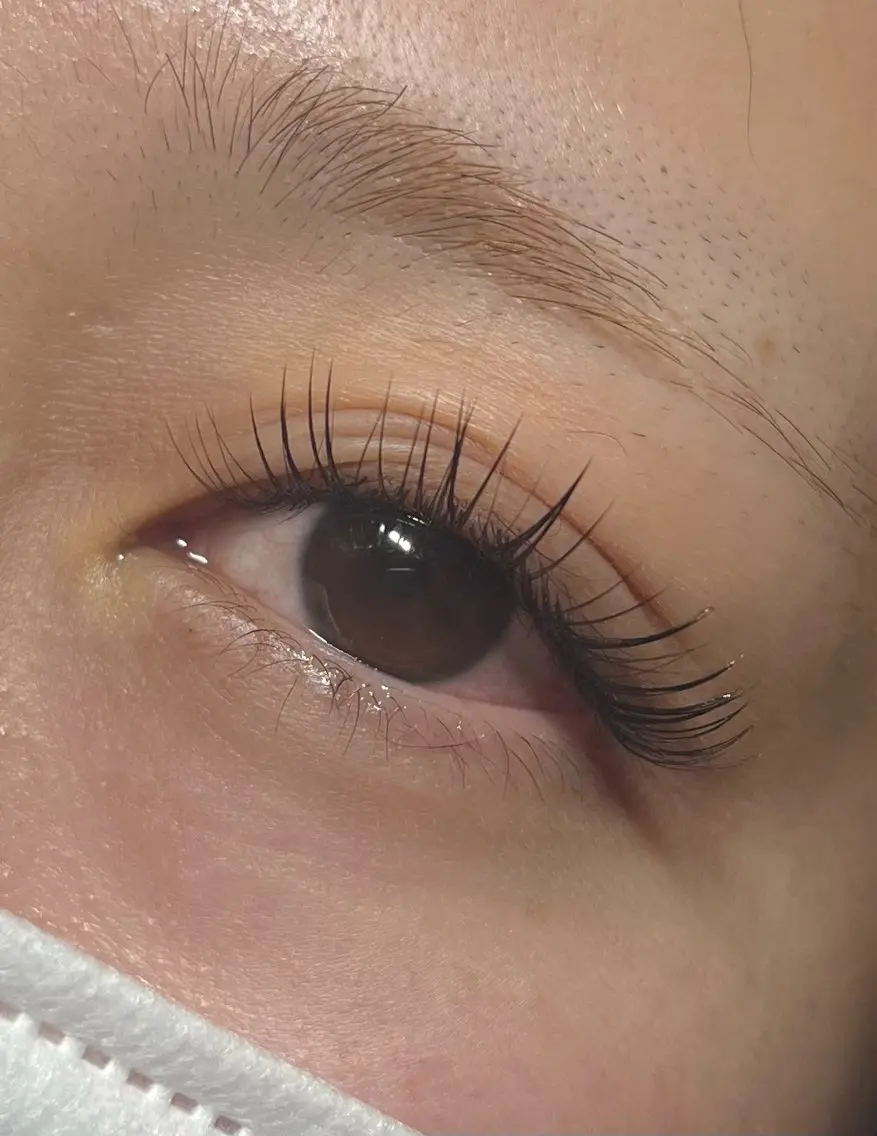 オフなし 3Dボリュームラッシュ100束※付け足し不可の写真