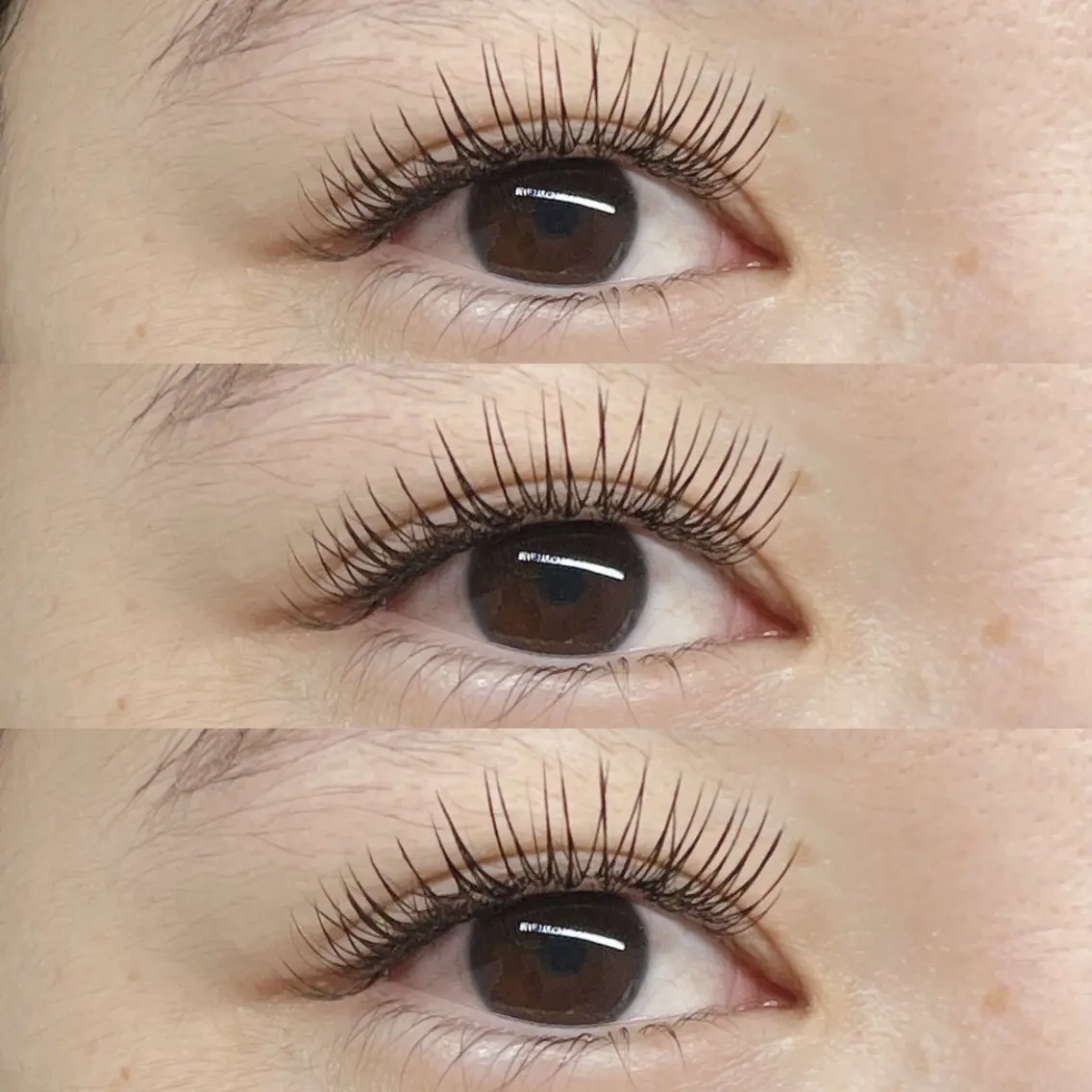 マツエク・マツパ マツエク Eyelash Hauoliの眉毛・アイブロウイメージ