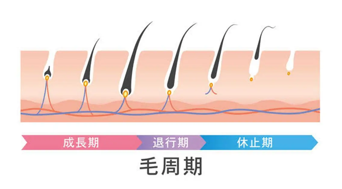マツエク・マツパ その他(アイブロウ) eyelash presh yukaのマツエク・マツパデザイン