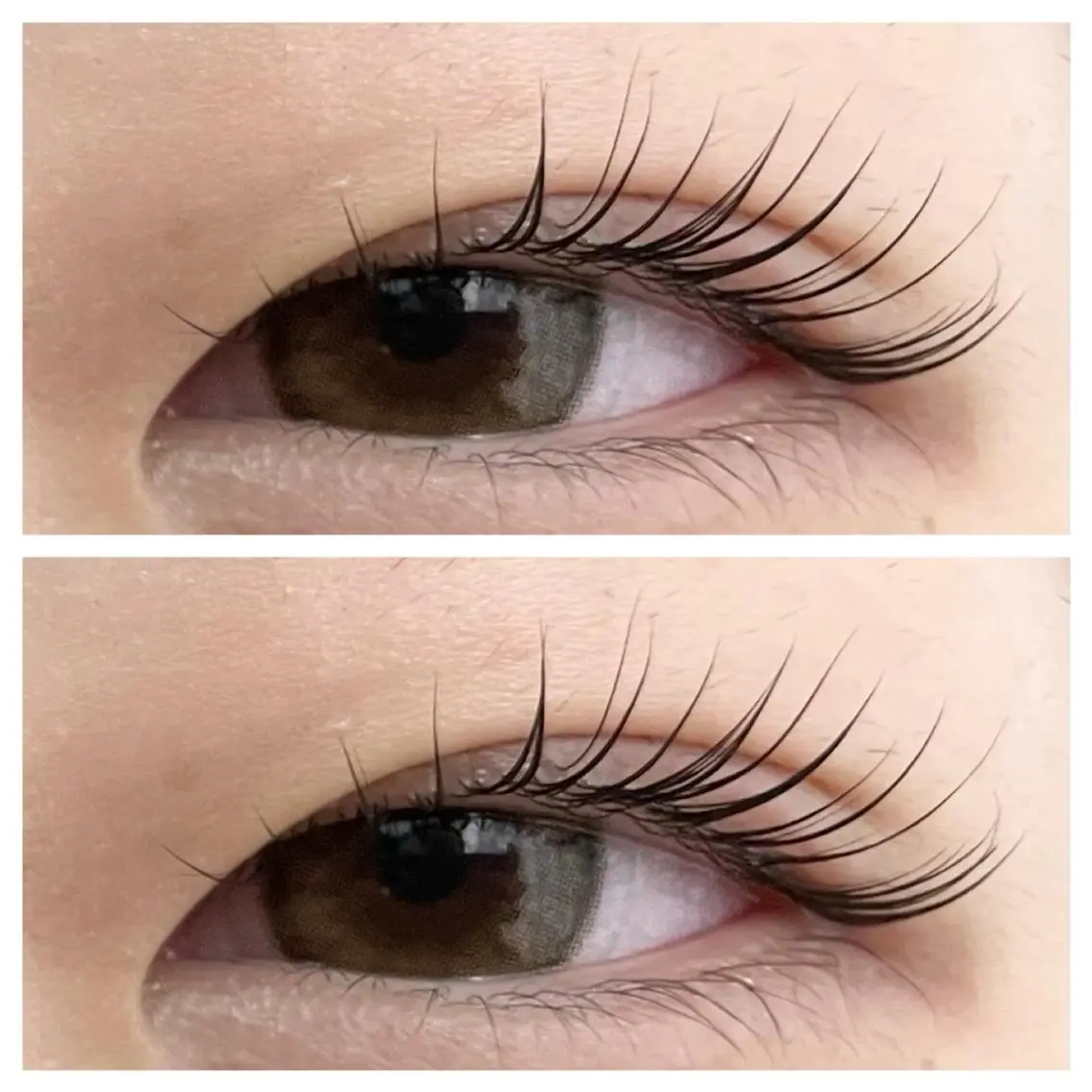マツエク・マツパ eyelash f　香里園のマツエク・マツパデザイン