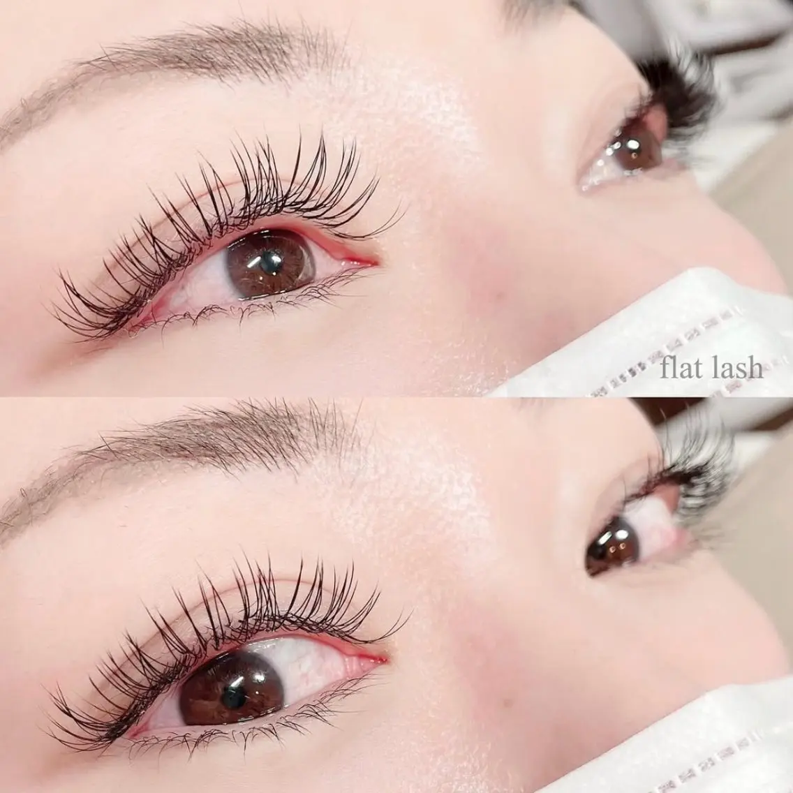 フラットラッシュ120本の写真