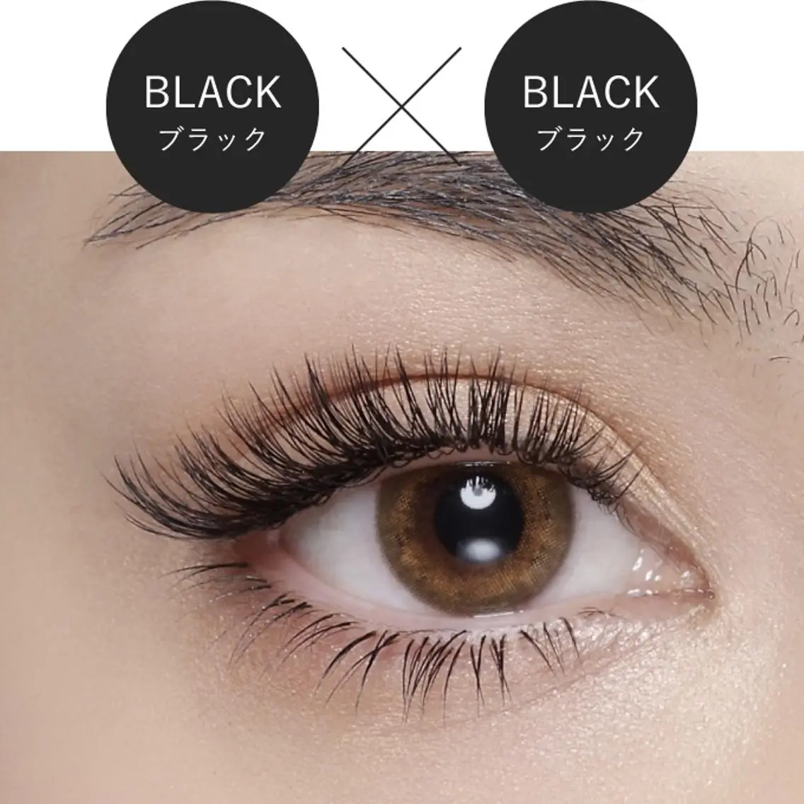 お試し🌟【圧倒的なモチの良さ◎】バインドロック60束(オフ代込/リペア可)の写真