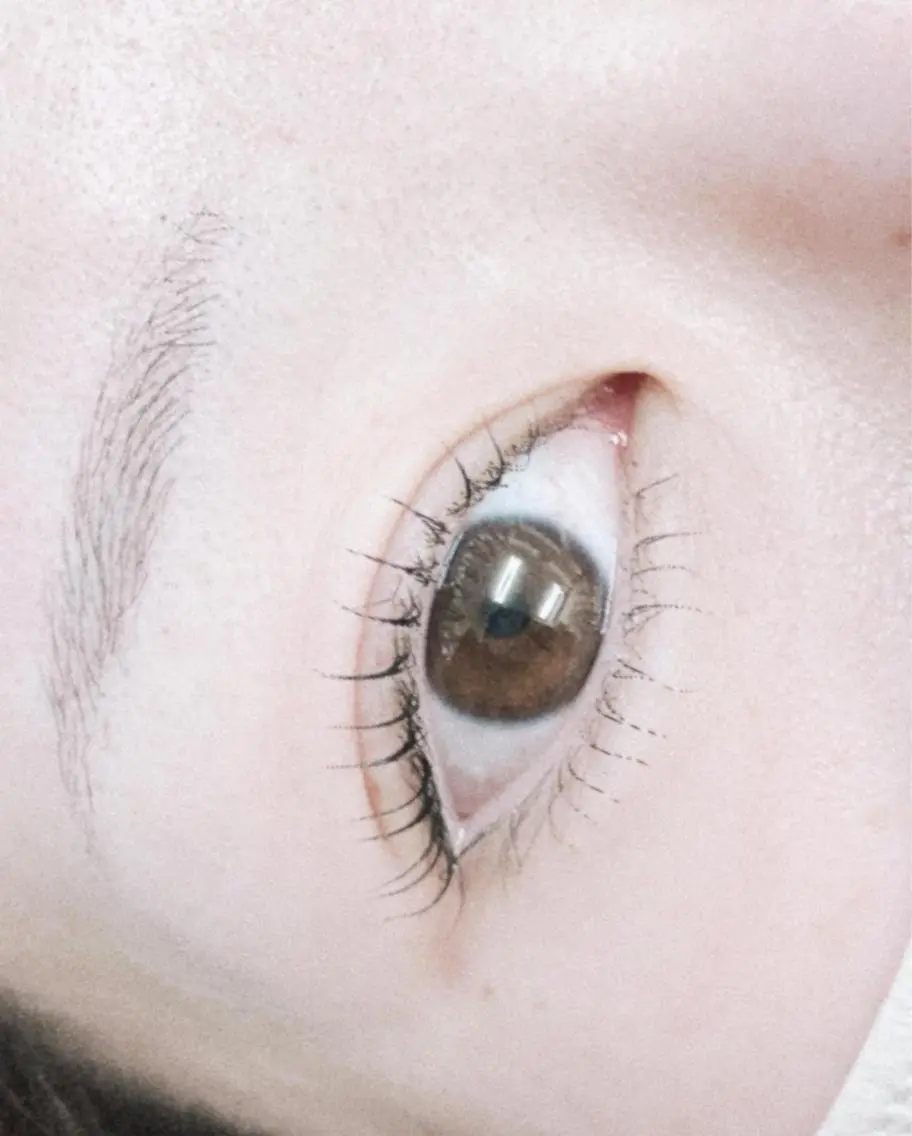上下まつげパーマの写真
