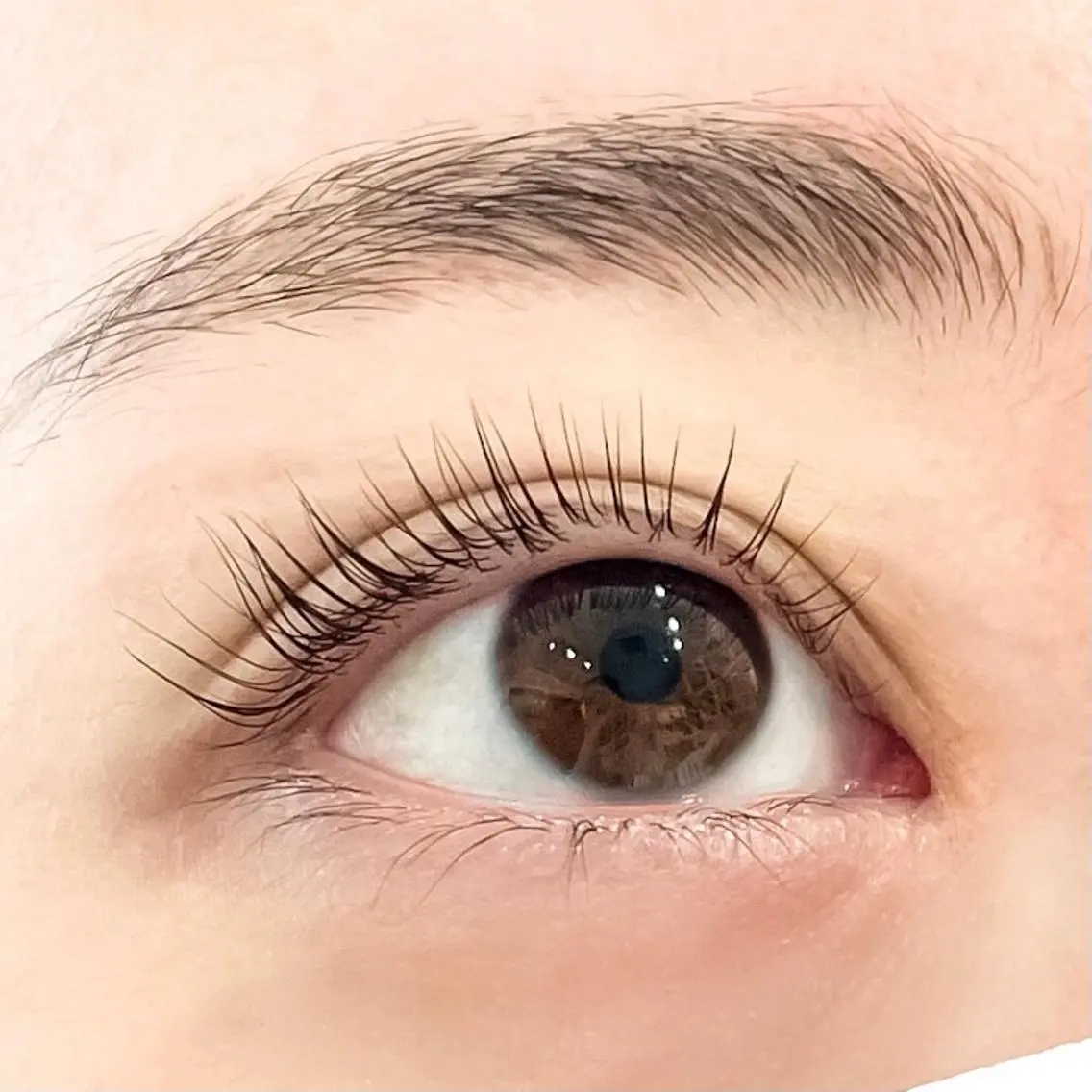 マツエク・マツパ Lカール 杉本 ＆Eyesのマツエク・マツパデザイン