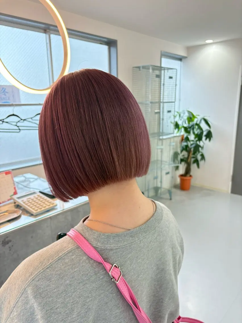 ダブルカラー【minimo限定価格】の写真