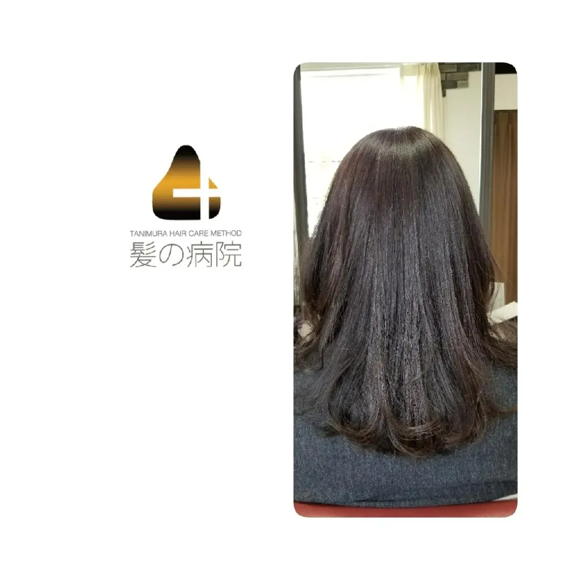 セミロング カラー ブルーカラー 髪質改善 トリートメント ヘッドスパ 髪の病院 ルーミールームのヘアスタイル