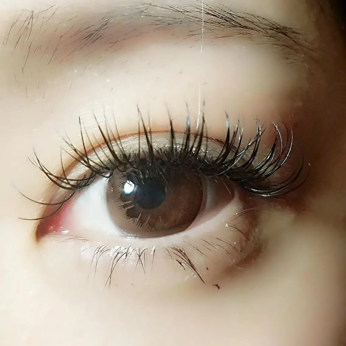 マツエク・マツパ セーブル hair& beauty BRYのマツエク・マツパデザイン